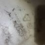 Audi A4 B8 Windscreen Washer Bottle 8t0955453b Image 2