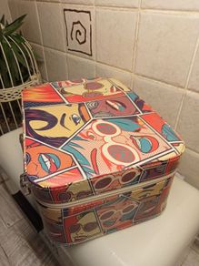 Make up case