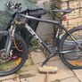 Selection of girls boys and men's bike for sale Image 3