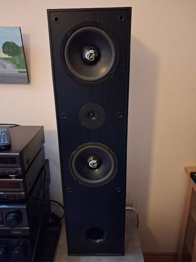 floor speakers..cat leb 401