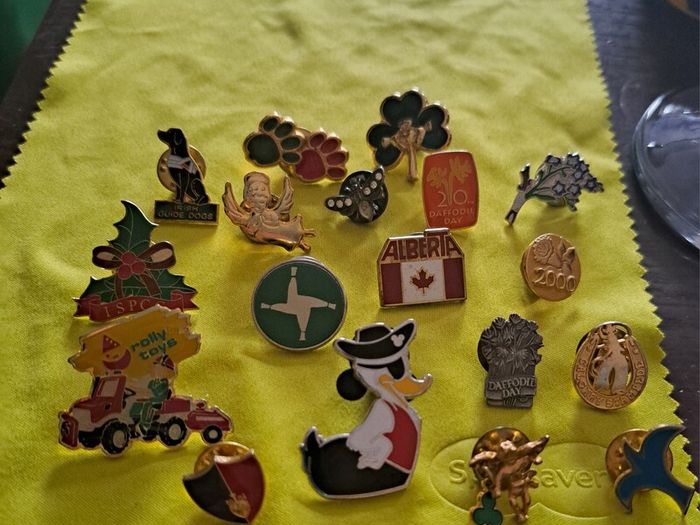 Lapel pin badges