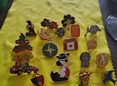 Lapel pin badges