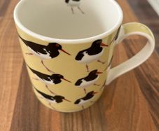 Annabel Langrish Mug