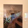 NZ Fern print framed Image 3