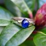 Antique Gents/Ladies Sapphire Solitaire Ring - 15ct circa 1887 Image 4