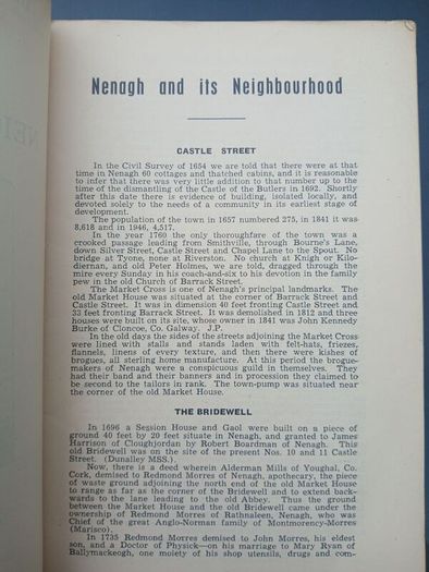 Nenagh and its Neighbourhood - E.H. Sheehan