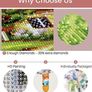 5D Diamond Painting, Complete Diamond Embroidery Kits for Adults, Christmas present Image 3