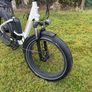 Rad power Ebike rhino step thru Image 3