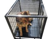 Heavy Duty Wheeled Pet Cage - 2 Sizes Available.