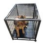 Heavy Duty Wheeled Pet Cage - 2 Sizes Available. Image 5
