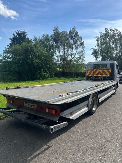 Canter recovery