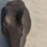 Cost Iron Pepper Weight In Cheap Of Mouse Image 2