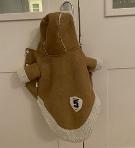 Dog coat