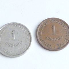 Mozambique pair