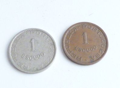 Mozambique pair