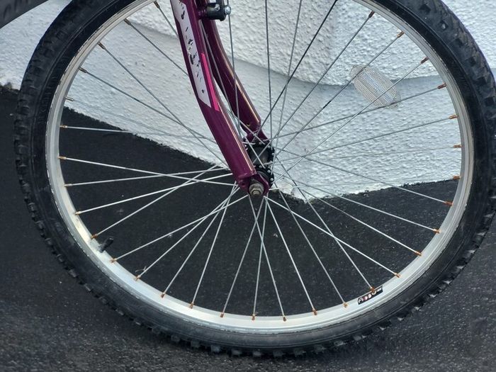 Female Bike..rarely Used