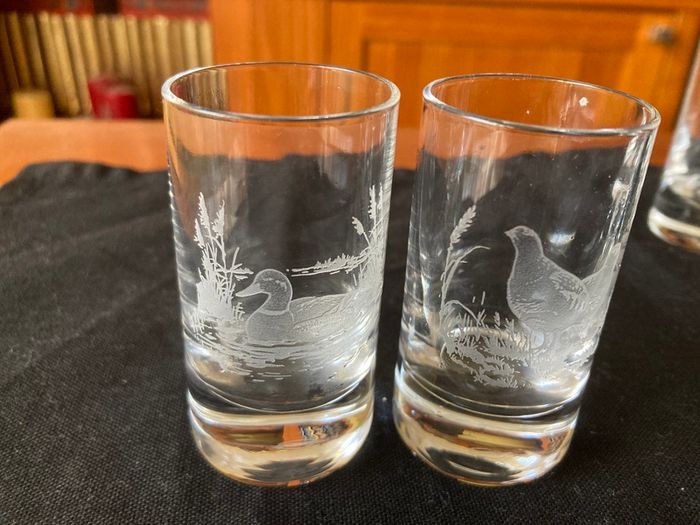 Shot wildlife engraved glasses- 6 piece set