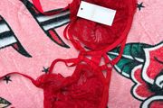new 40D bra
