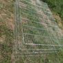 Rabbit / Guinea pig run Image 2