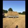 Small square bales of hay Image 6