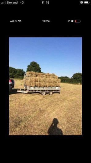 Small square bales of hay