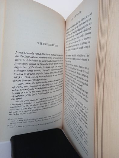 Great Irish Speeches: On the Twentieth Century by Michael McLoughlin (HQ894)