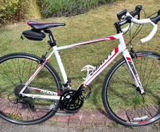 Giant Defy Racer (Size M)