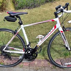 Giant Defy Racer (Size M)