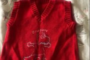 Boys BNWT vest jumper 6/9 mths