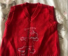 Boys BNWT vest jumper 6/9 mths
