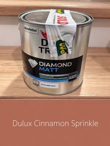 Paint 2.5L Cinnamon Sprinkle NEW