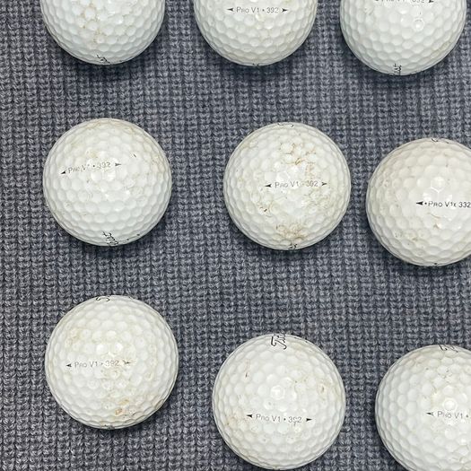 Titleist Pro V1 Golf Balls - Premium Used Golf Balls