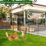 12 Panel No Dig Decorative Garden Fence with Gate - 107cm H x 8.1 m L, Tall Animal Barrier for Dogs Rabbits, Rustproof Metal Wire Panels for Yard, Patio, and Outdoor Border Use Image 7