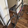 Giant Defy XL Image 2