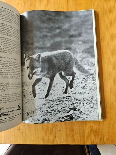The Irish Wildlife Book. Edited By Fergus O'gorman. Illustrated By Gerrit Van Gelderen, Eamon De Buitlear And Richard Mills. First Edition Large Volume Hardback In Good Condition.