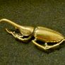 3 brass beetles. Image 7