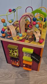 Zany zoo activity cube