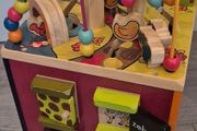 Zany zoo activity cube