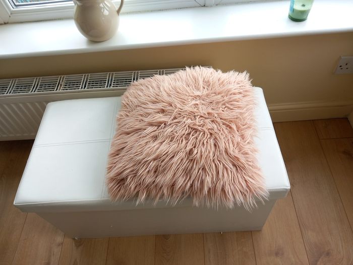 cushion