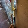 Walking stick Image 10