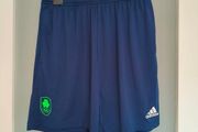 Adidas Team Ireland Olympics shorts