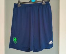 Adidas Team Ireland Olympics shorts