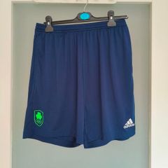 Adidas Team Ireland Olympics shorts