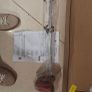 BRAND NEW Odyssey Ai-DUAL 7 Half Ball Putter 2026 Model 33 Inch Image 8