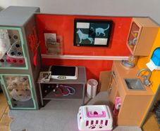 Our Generation Vets set