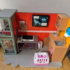 Our Generation Vets set
