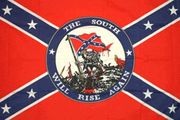 South will rise again Confederate Flag