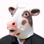 Rubber novelty Halloween cow mask. Image 3
