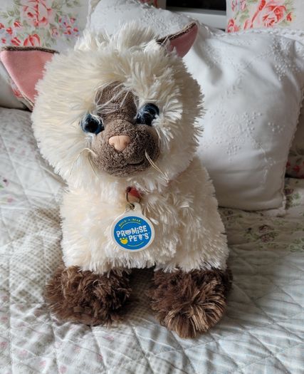 Build a bear cat