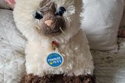 Build a bear cat